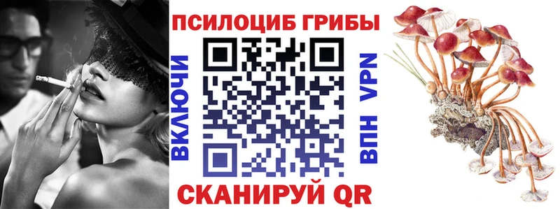 Псилоцибиновые грибы MAGIC MUSHROOMS  что такое наркотик  Могоча 