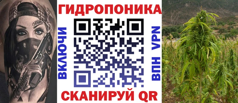где можно купить   Могоча  МЕГА tor  Каннабис THC 21% 